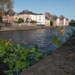 La Sambre au printemps